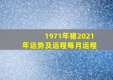 1971年猪2021年运势及运程每月运程