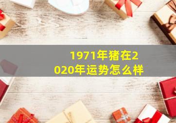 1971年猪在2020年运势怎么样