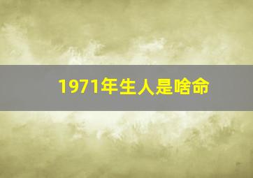 1971年生人是啥命