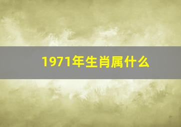 1971年生肖属什么