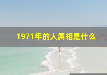 1971年的人属相是什么