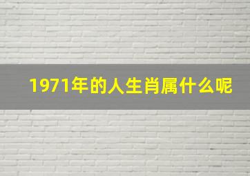 1971年的人生肖属什么呢