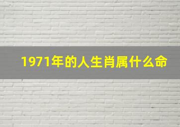 1971年的人生肖属什么命