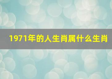 1971年的人生肖属什么生肖