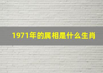 1971年的属相是什么生肖