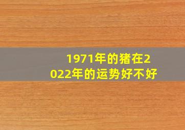 1971年的猪在2022年的运势好不好