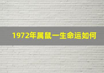 1972年属鼠一生命运如何