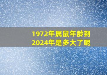 1972年属鼠年龄到2024年是多大了呢