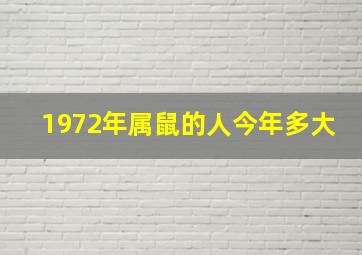 1972年属鼠的人今年多大