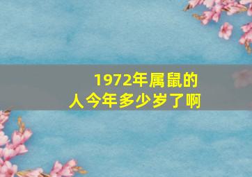 1972年属鼠的人今年多少岁了啊