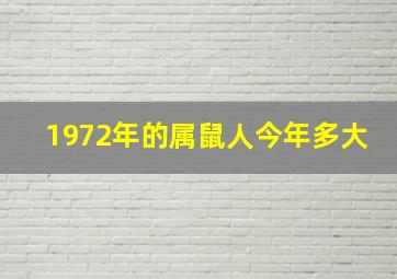 1972年的属鼠人今年多大