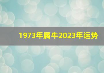 1973年属牛2023年运势