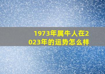 1973年属牛人在2023年的运势怎么样