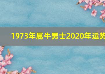 1973年属牛男士2020年运势