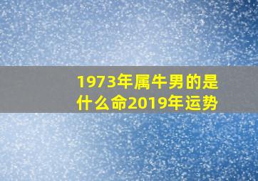 1973年属牛男的是什么命2019年运势