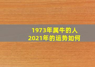 1973年属牛的人2021年的运势如何