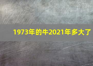 1973年的牛2021年多大了