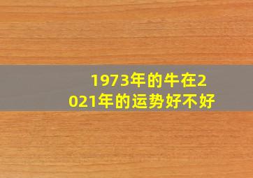 1973年的牛在2021年的运势好不好