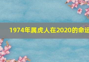 1974年属虎人在2020的命运