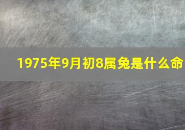 1975年9月初8属兔是什么命