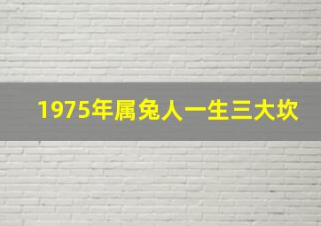 1975年属兔人一生三大坎