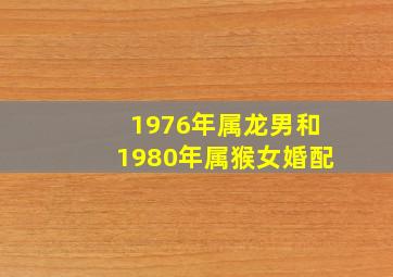 1976年属龙男和1980年属猴女婚配