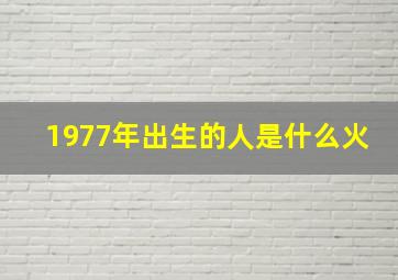 1977年出生的人是什么火