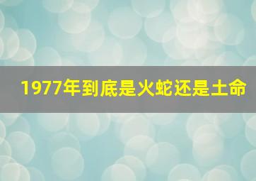 1977年到底是火蛇还是土命