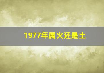 1977年属火还是土