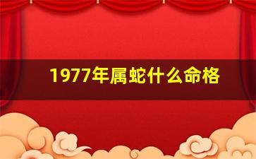 1977年属蛇什么命格