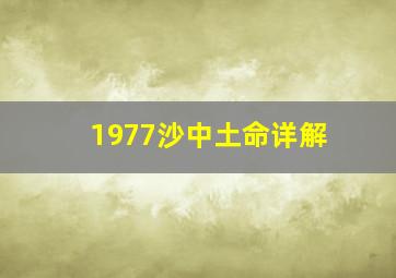 1977沙中土命详解