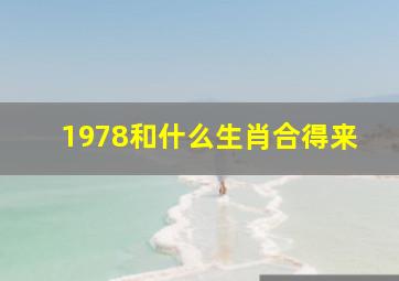 1978和什么生肖合得来