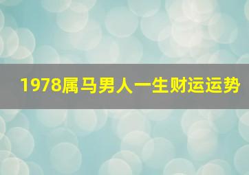 1978属马男人一生财运运势