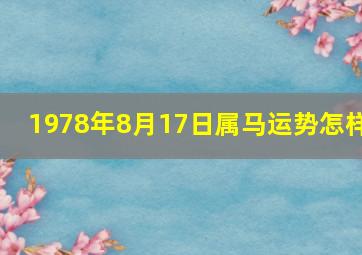 1978年8月17日属马运势怎样