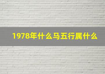 1978年什么马五行属什么