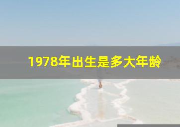 1978年出生是多大年龄