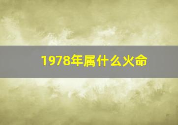 1978年属什么火命