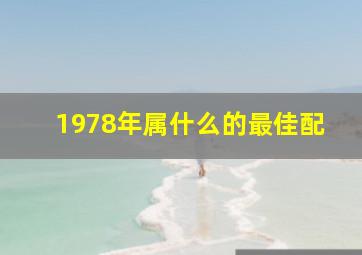 1978年属什么的最佳配