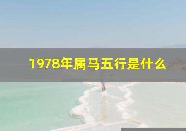 1978年属马五行是什么