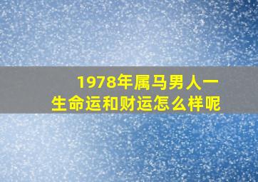 1978年属马男人一生命运和财运怎么样呢