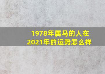 1978年属马的人在2021年的运势怎么样