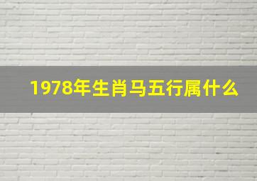 1978年生肖马五行属什么