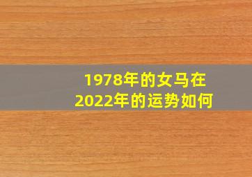 1978年的女马在2022年的运势如何