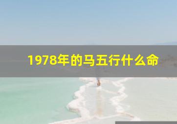 1978年的马五行什么命