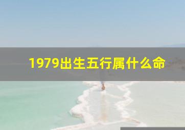 1979出生五行属什么命