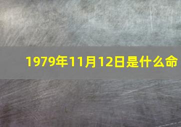 1979年11月12日是什么命