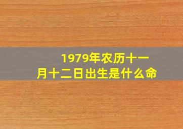 1979年农历十一月十二日出生是什么命