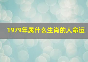 1979年属什么生肖的人命运