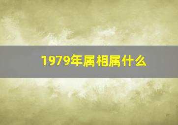 1979年属相属什么