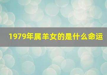 1979年属羊女的是什么命运